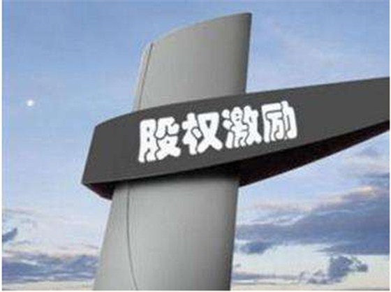 創(chuàng)業(yè)公司股權(quán)激勵(lì)的問題