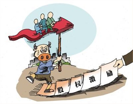 什么是人力資本？什么是股權(quán)激勵(lì)？