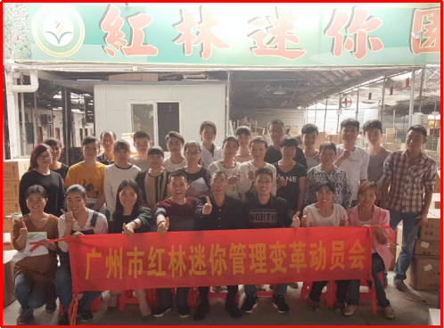 澤亞咨詢之熱烈祝賀廣州紅林迷你園藝咨詢項目啟動